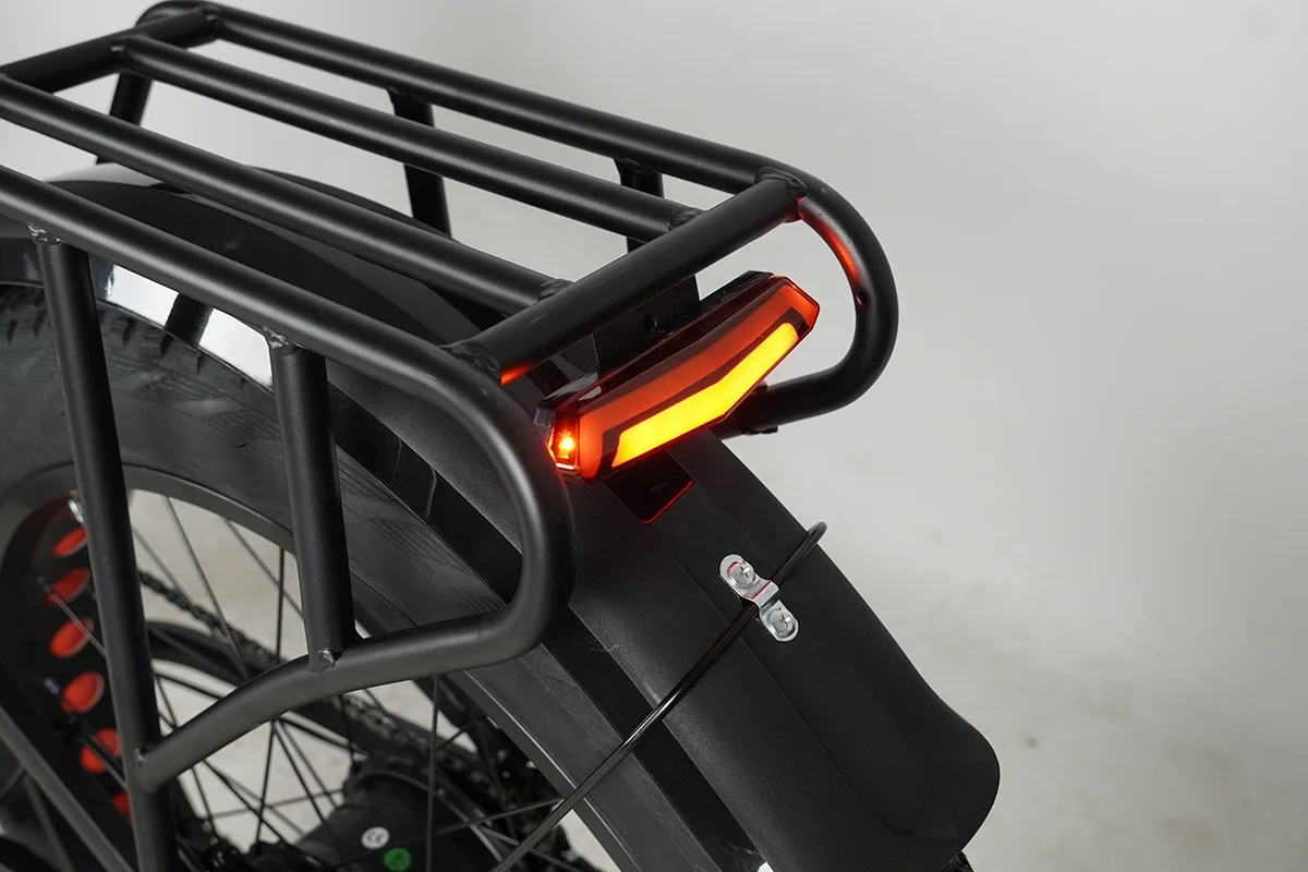 Eu Stock hot selling customized 48v Mountain Electric Bike Fat Tyre  Full Suspension 20ah Battery All Terrain Electric Bike