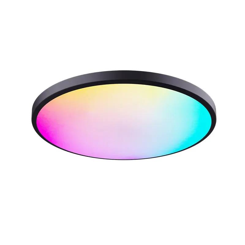 Nordic creative modern lighting graffiti wifi smart surface mount ceiling light dimmable round RGB ceiling light