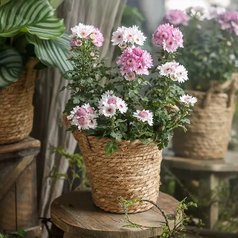 Creative rural hand-held straw woven living room furniture with lining storage basket