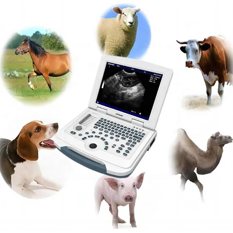 Dawei veterinary ultrasound scanner horse ultrasound machine bovine  ultrasound detector