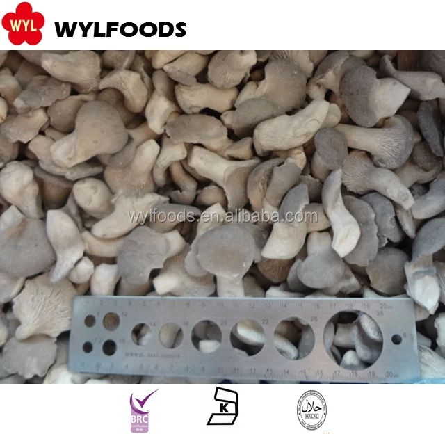 IQF Frozen Baby Oyster Mushrooms Premium Quality Edible Fungi for Culinary Use