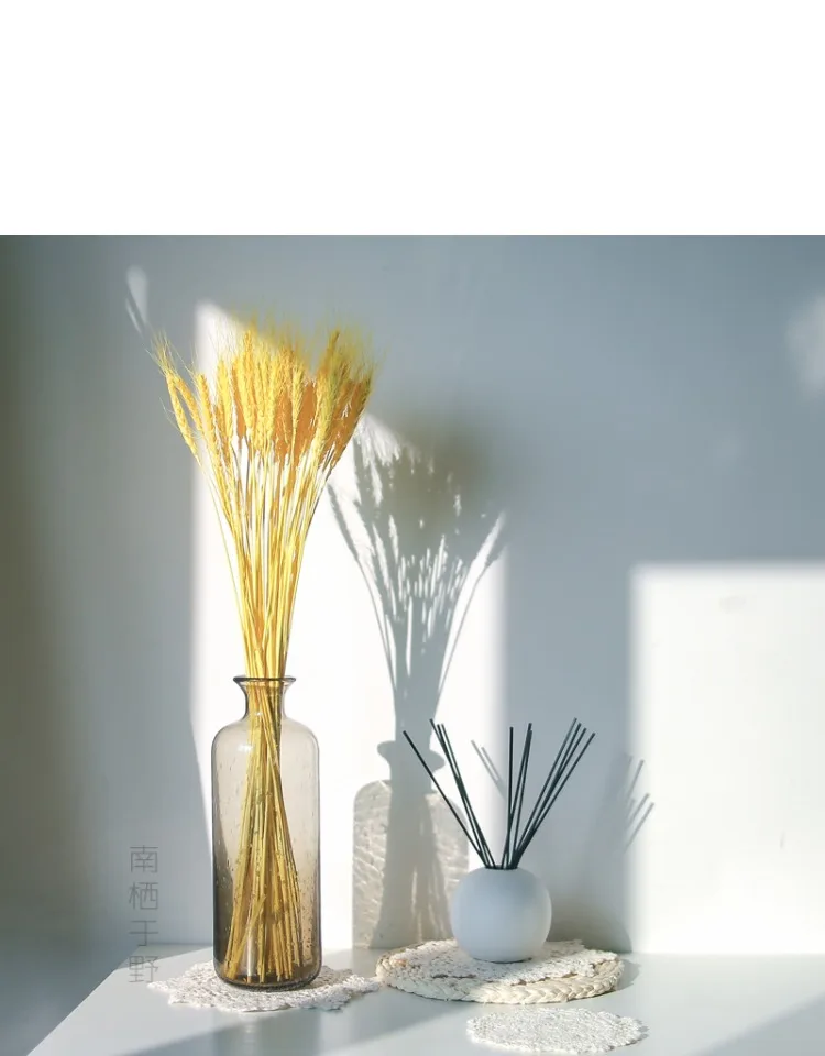 Fall Flower Arrangement Colorful Barley Straw Dried Wheat Flowel barley dried flowers preserved flower barley