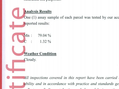 bv inspection1.png