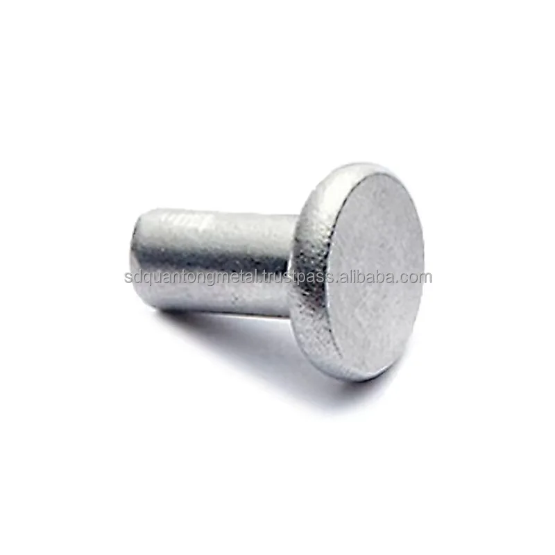 Round Flat Head Steel Nail Metal Solid Rivet Screw aluminum sheet metal screws