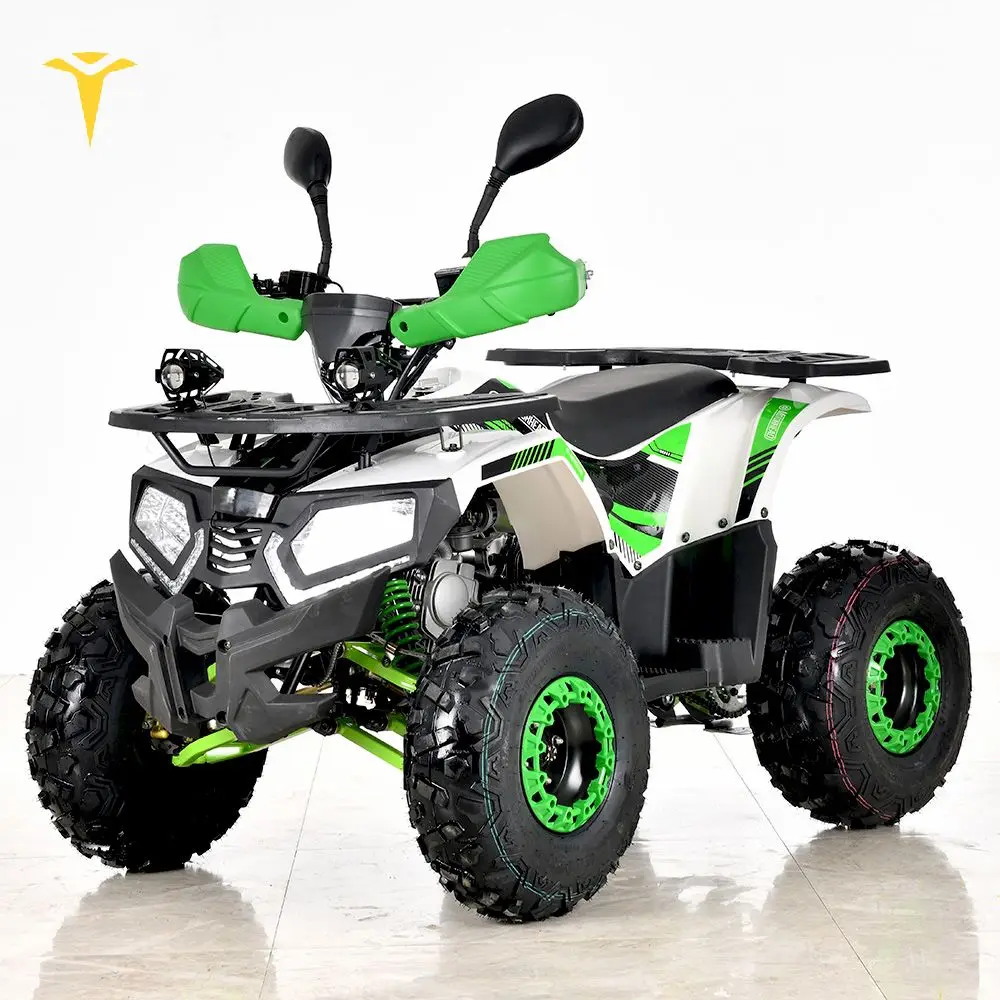 Внедорожных допущенный к Atv Quad велосипед способный преодолевать Броды для взрослых 300cc