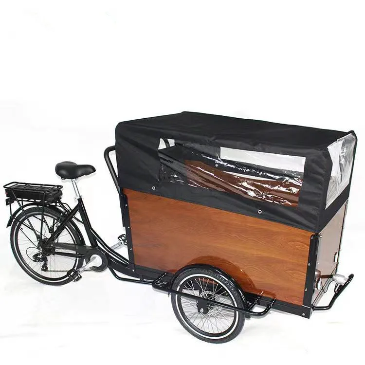 2022 good quality electric 2 wheel adult trike cargo electro tricycle with front two wheel for passenger child seat