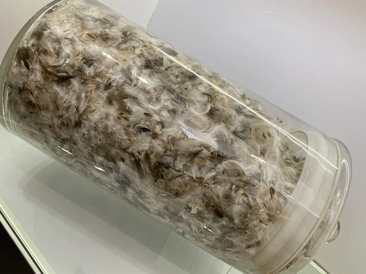 Natural and environmentally friendly throw pillow cushion filling material wholesale: washed 90 grey duck hair pieces