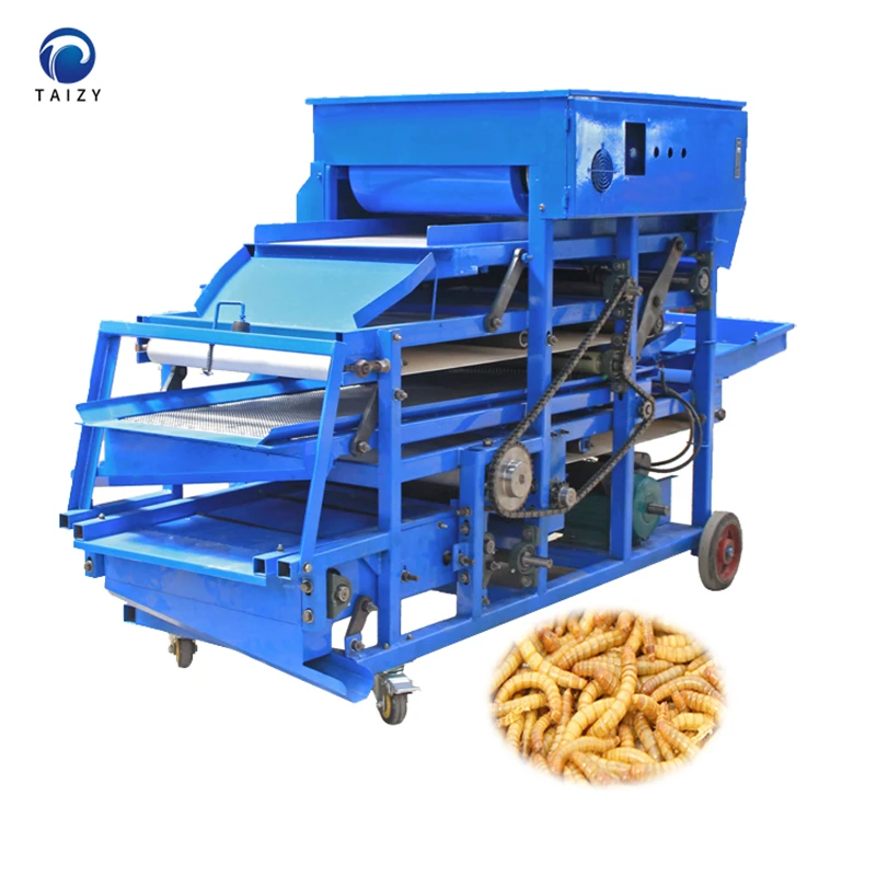 Mealworm Beetle sorting machine automatic dust-free tenebrio molitor separator machine Mealworm machine