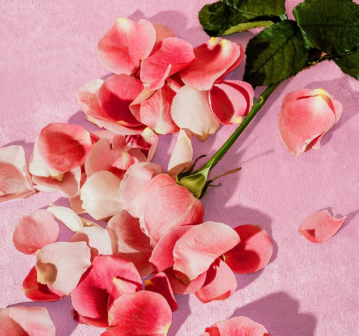 Private Label Natural 120ml Rose Water Alcohol Free With Niacinamide Organic Rose Water Spay For Face