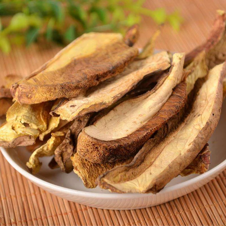 
Delicious boletus edulis porcini mushroom 