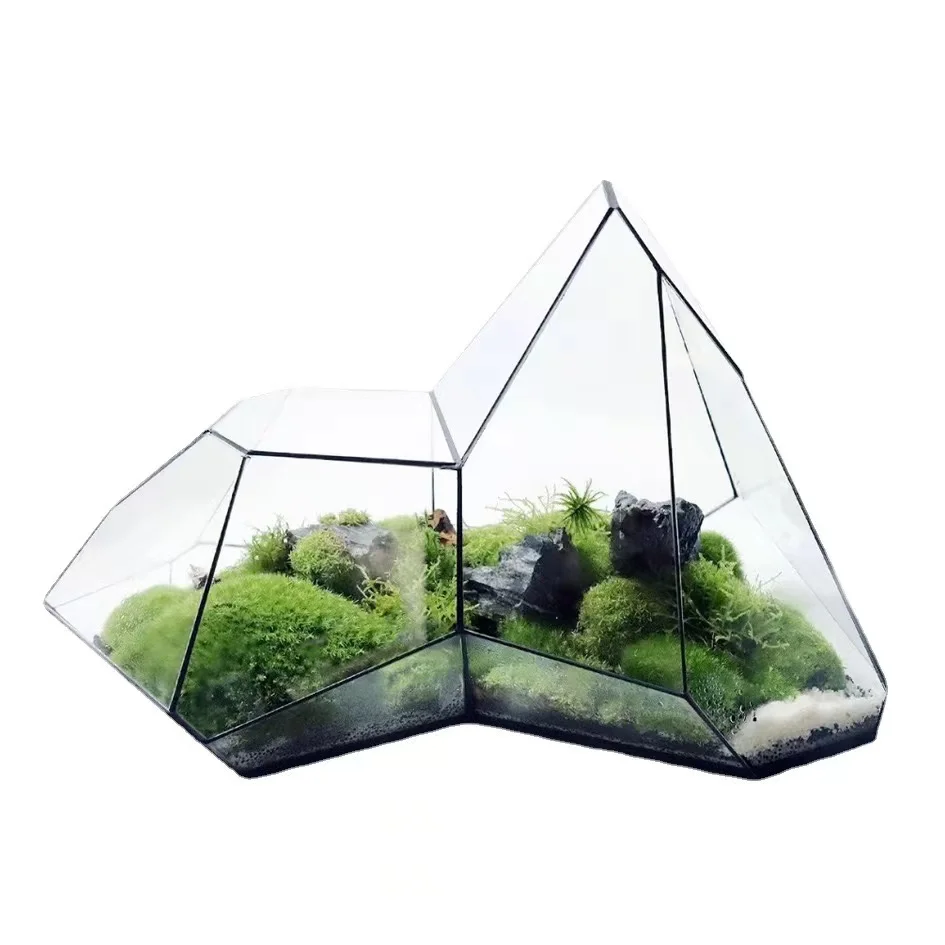 Wholesale Gift Box Artificial Plants Preserved Moss Placed in a Glass Cover