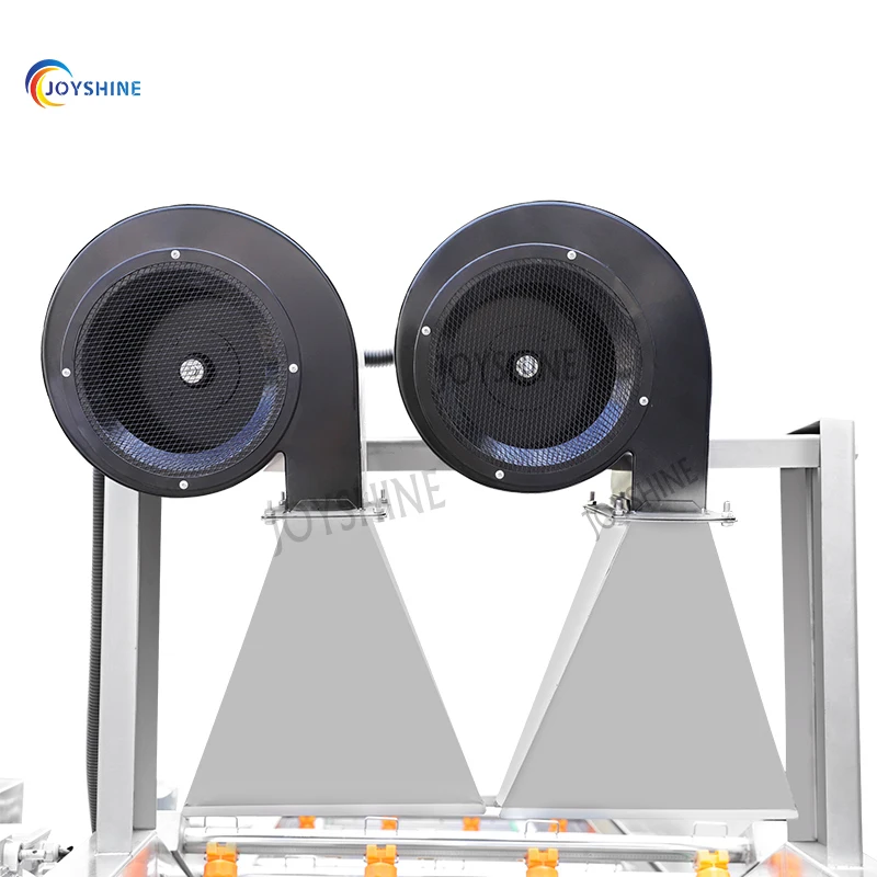 Industrial Vegetable Fruit Bubble Washing Machine Potato Tomato Leafy Vegetable Washer Machine