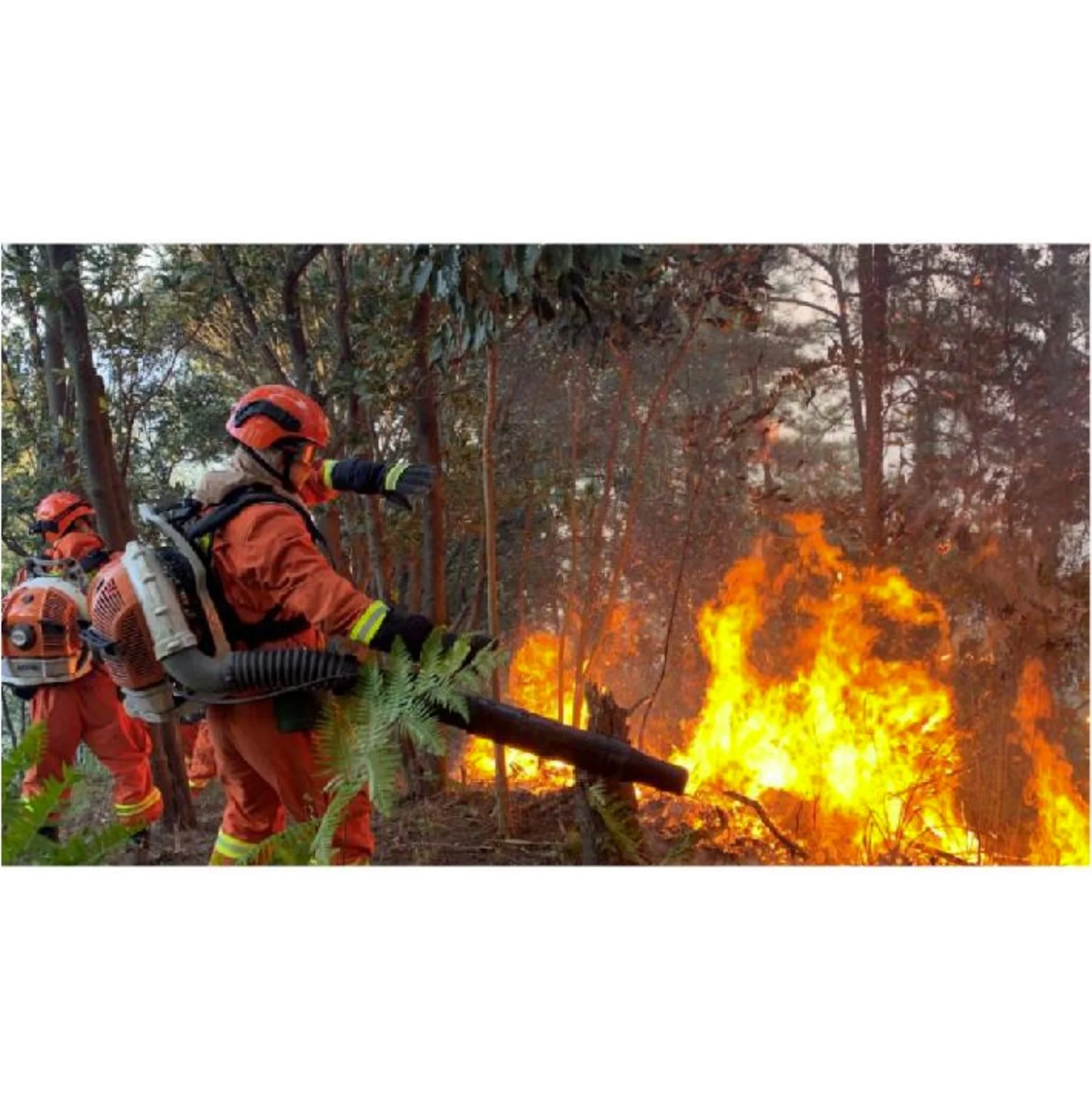 compassarmor carbon fiber helmet Fire fighting emergency rescue helmets fire safety hat for firefighters