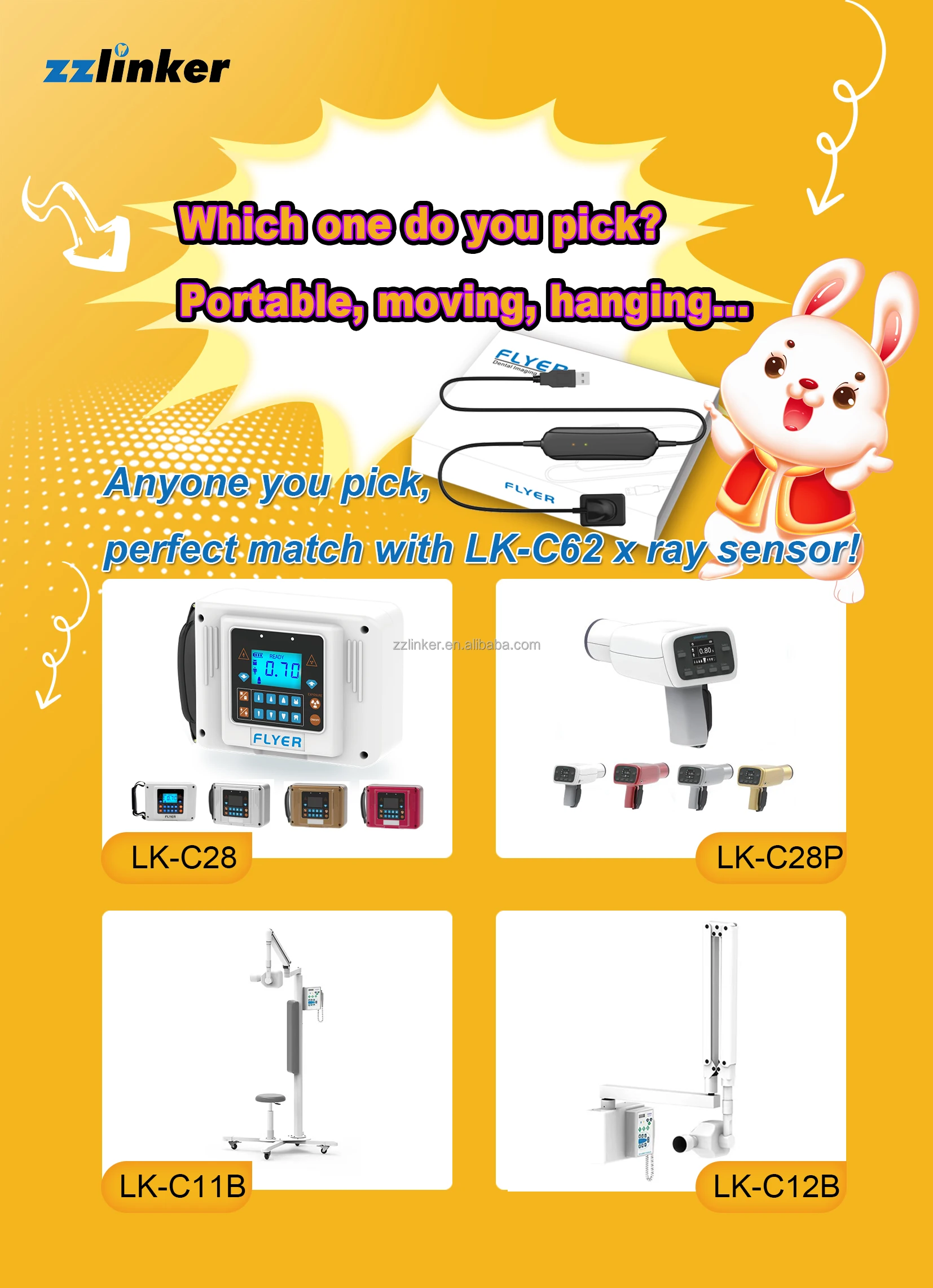 x ray unit and sensor.jpg