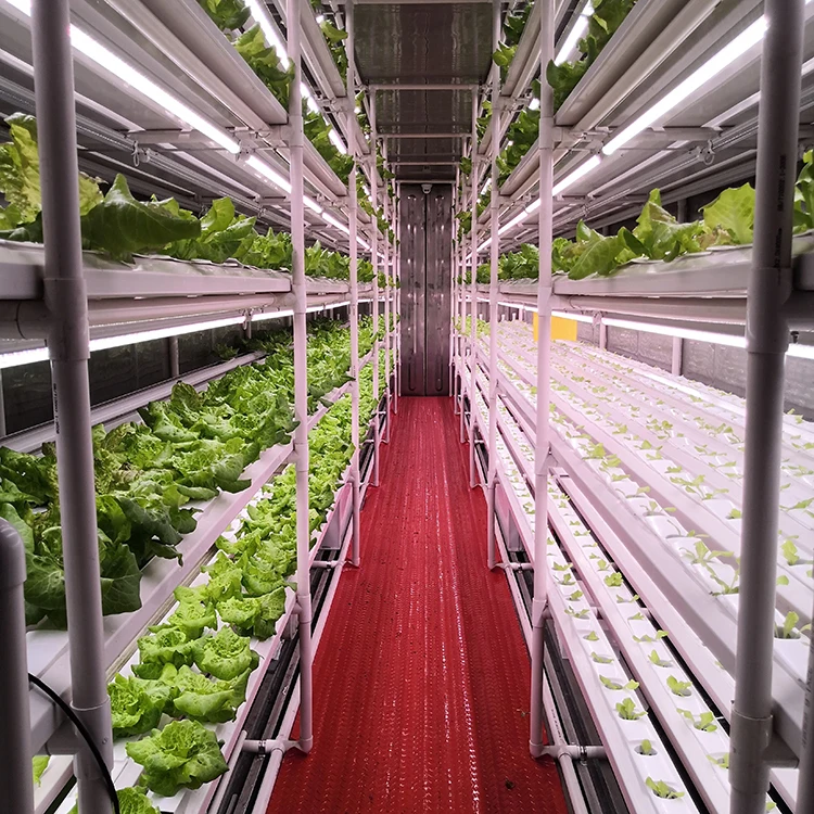 Low price cheap hydroponic systems simulated sunlight indoor intelligent growing hydroponic system