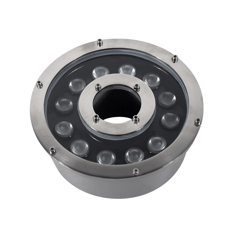 12W Ring Ss Submersible 12V Water Dmx Control 24V  Colorful Led Fountain Light Fixtures Pond Led Underwater Light For Fountains