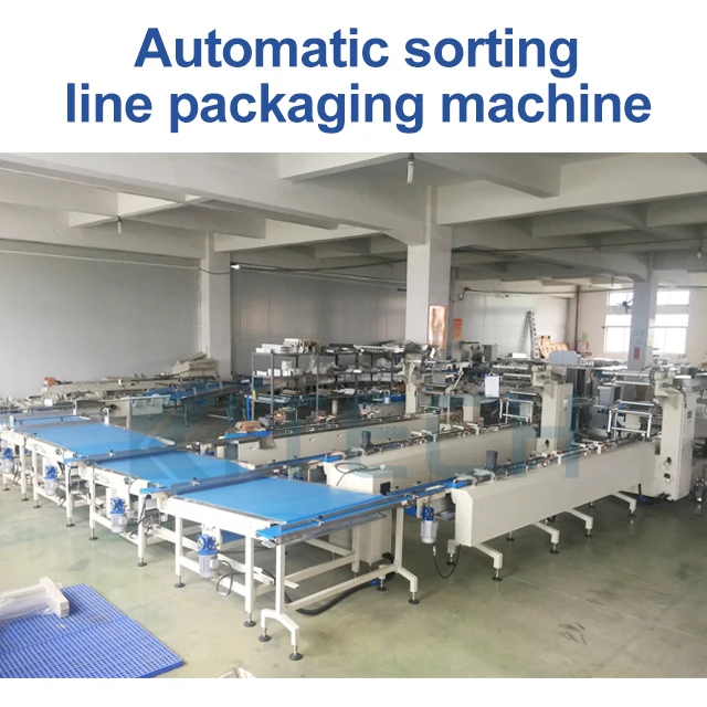 Fully Automatic Chocolate Bar Biscuit Cake Flowing Packing Machine Food Wrapping Machine Line