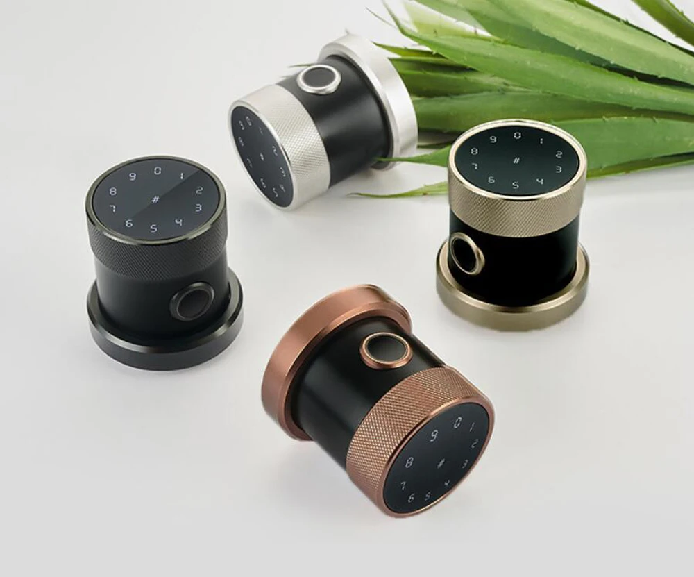 Smart home Tuya or TTLock App keyless entry door biometric fingerprint lock