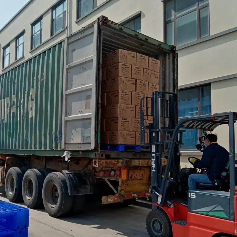 Disposable Industrial Polypropylene PP Coverall with Double Front Zippers for Spray Painting