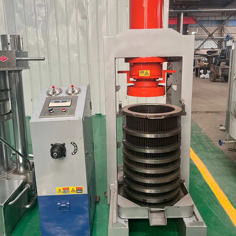 Small commercial oil press industrial cold pressed black seed oil moringa seed oil machine