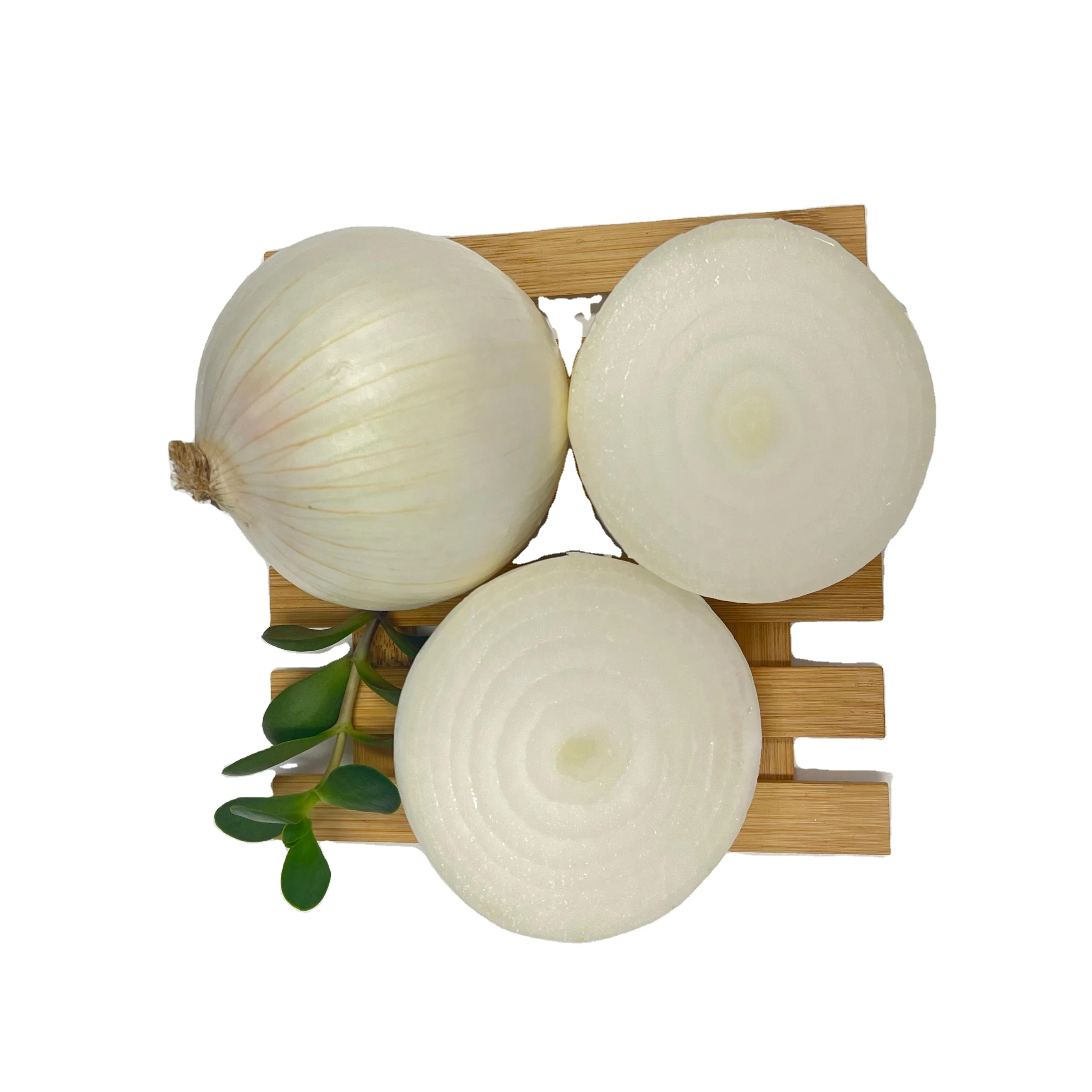 Super Quality Bulk Supply China Fresh Onion Wholesale Exporter From Shandong With Best Price and Quality