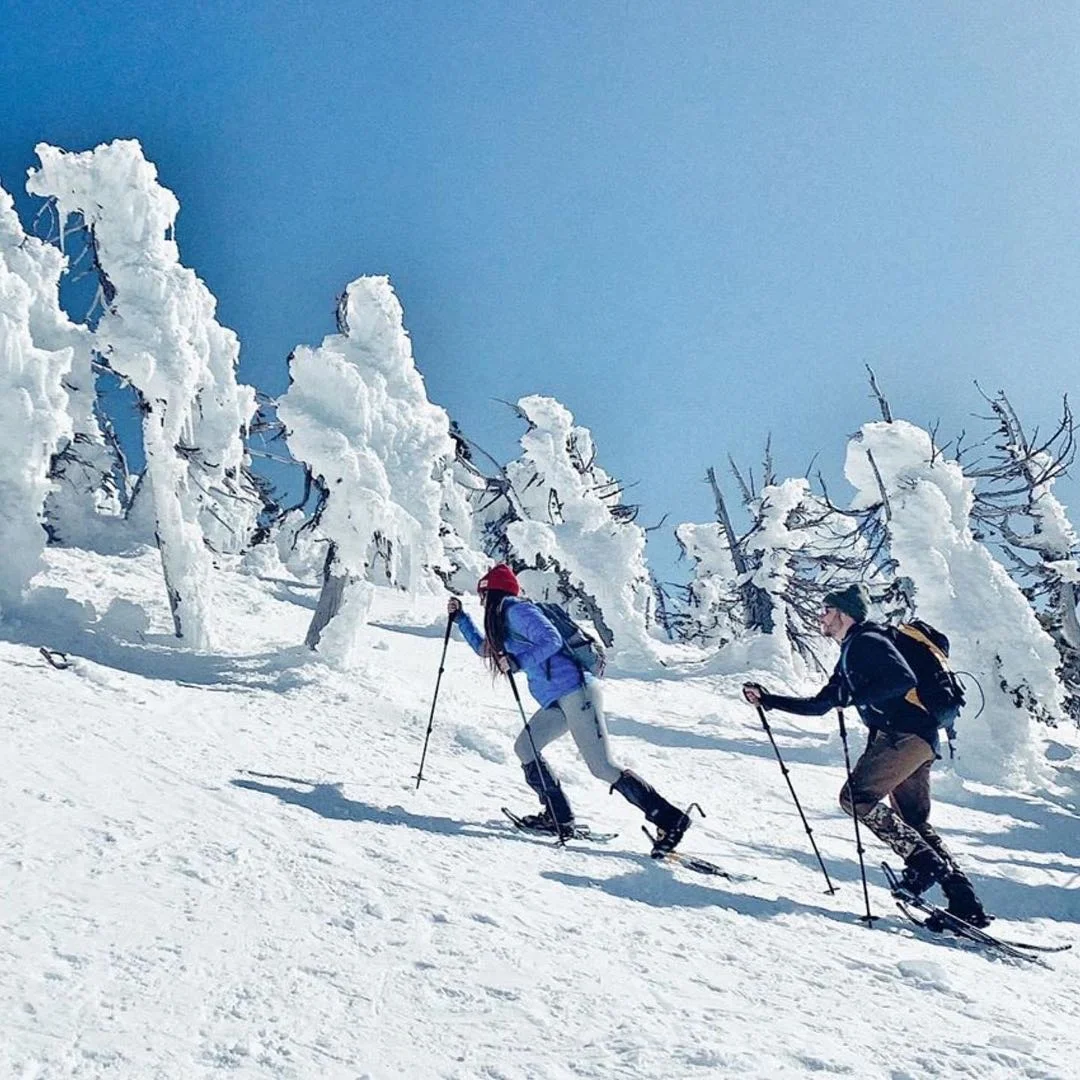 High Quality Ski Poles Foldable folding 5 section Nordic Walking Sticks Walking Pole Alpenstock Trekking poles