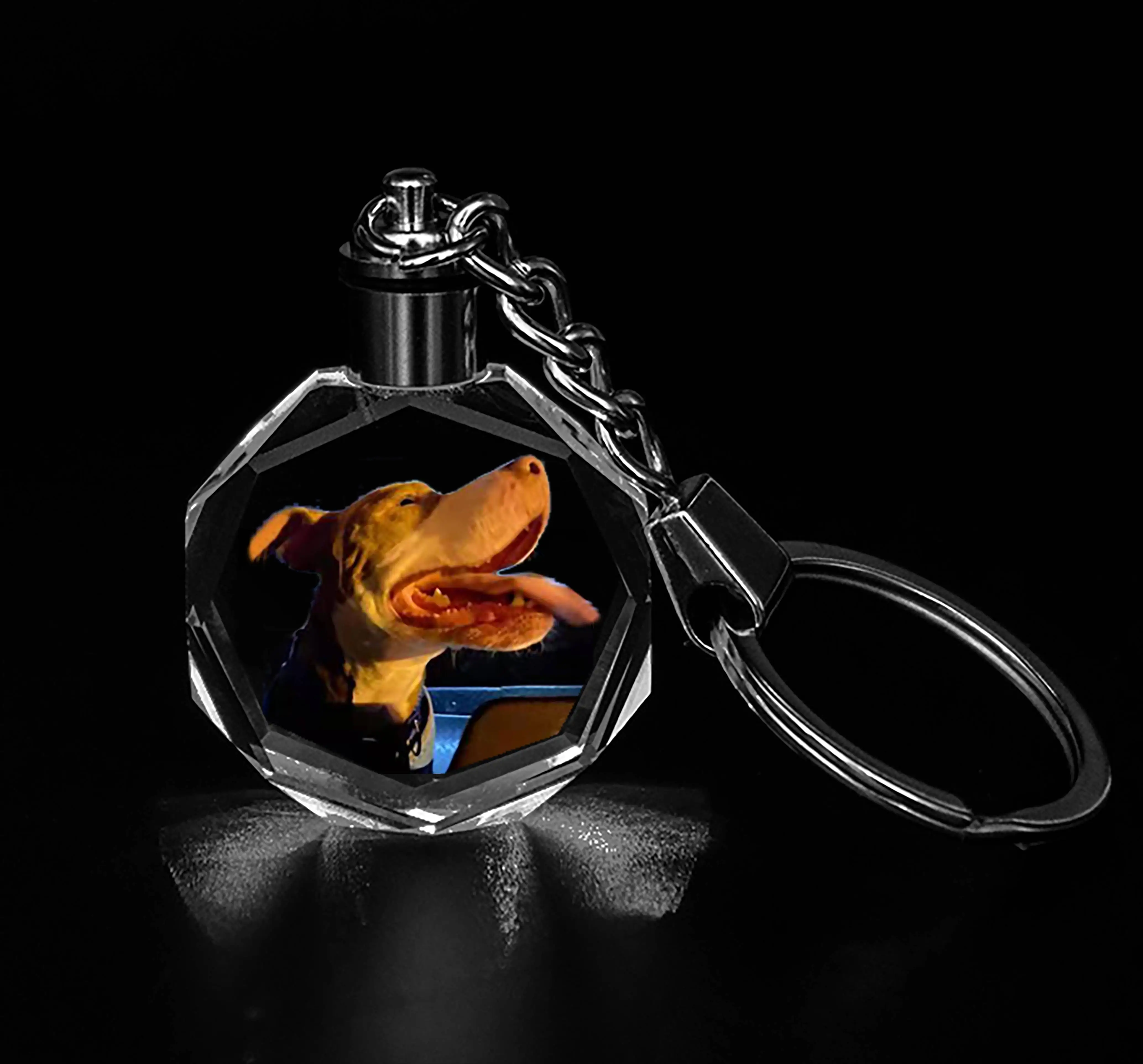 Wholesale custom 3d keychains plush dog keychain hot dog keychain with changeable led light for promotion gift or birthday gift