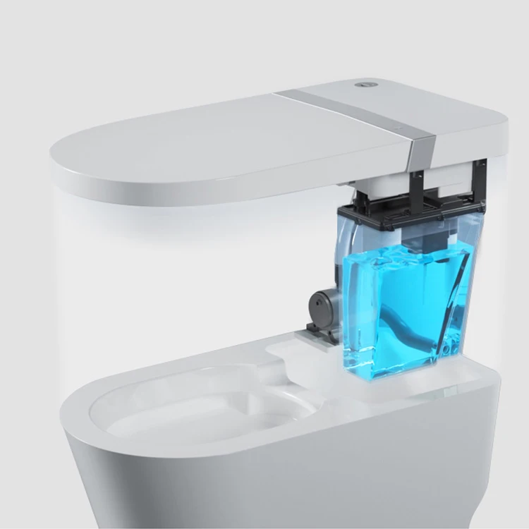 America Design Hotel Bathroom Ceramic Smart Toilet