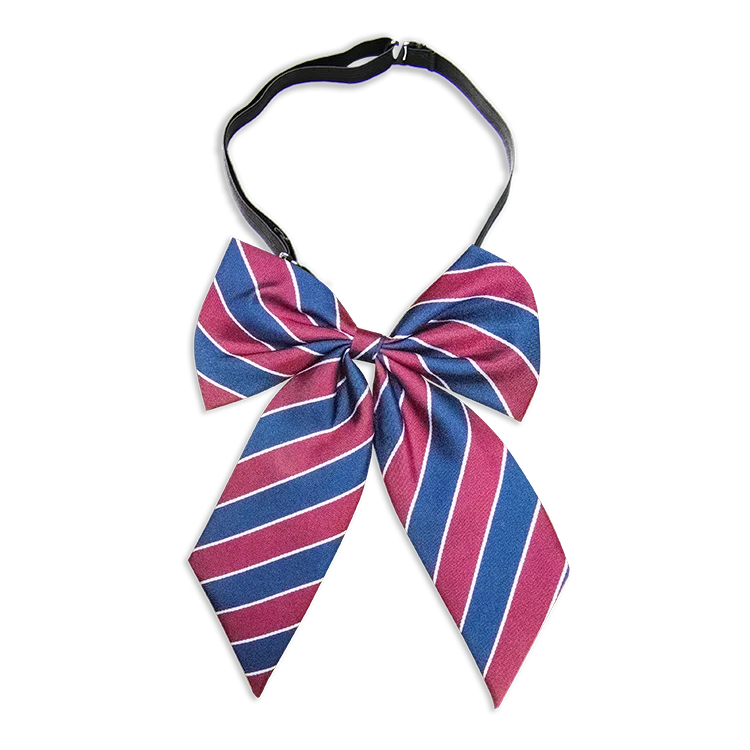 Global Wholesale Hot Selling Latest Design Unique Quick Adjustable Tie For Women