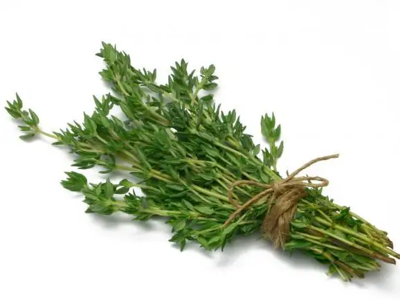 100% натуральные органические травы Thymus Mongolicus Ronn сушеный тимьян протертые измельченные листья тимьяна для продажи