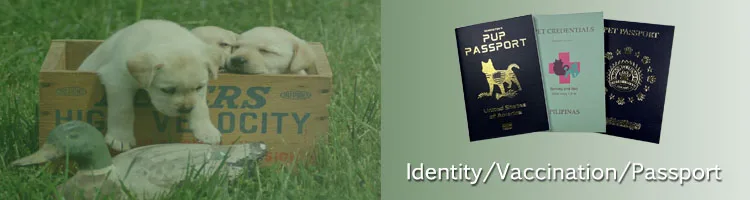 Pet Passport.jpg
