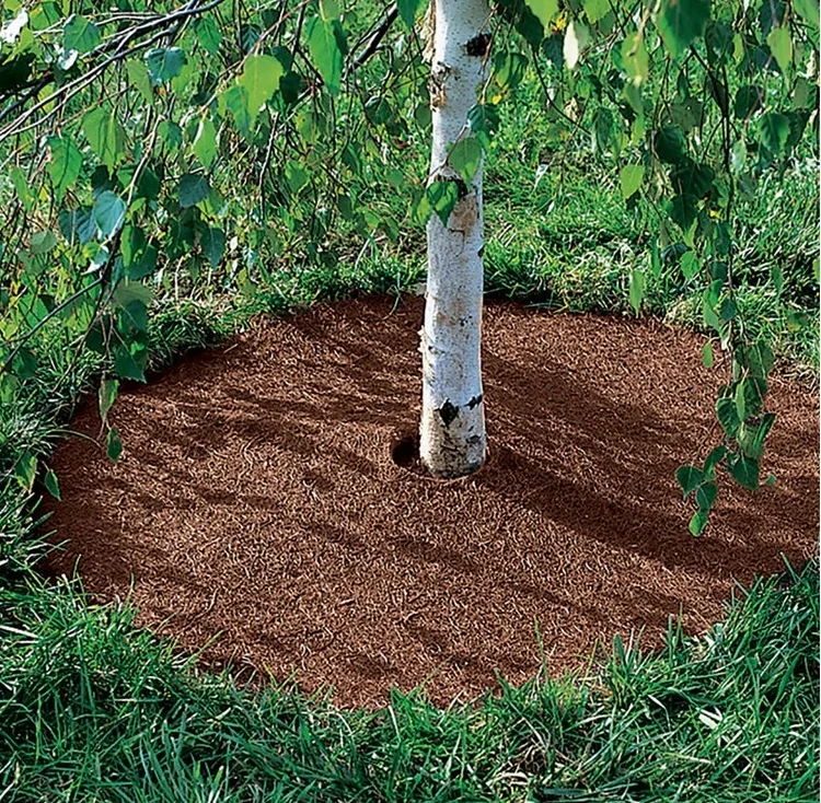 
Healthy popular Hot selling Recycled cheapest rubber tree rings for garden lowes 