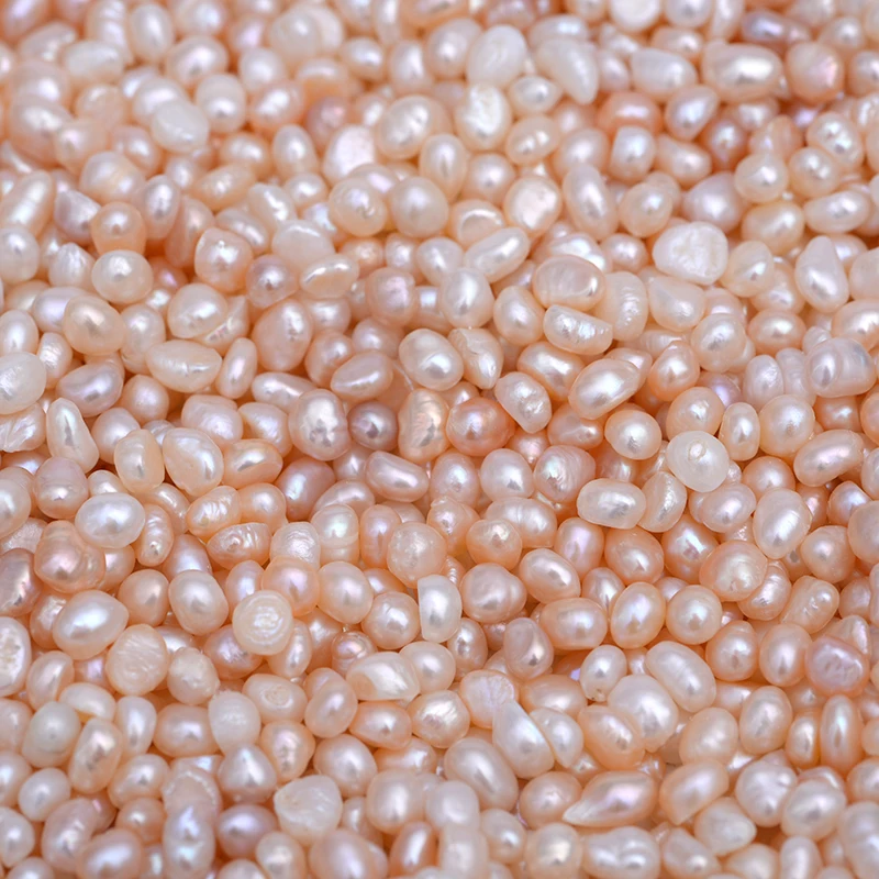 Hot Selling pearl-powder filling Whitening skin care pearl powder (nacre powder)