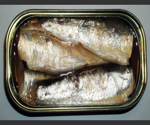 Wholesale Cheap Vegetable Preservation Processing Low Price Canned Sardine Oil YOLI Brands From Morocco