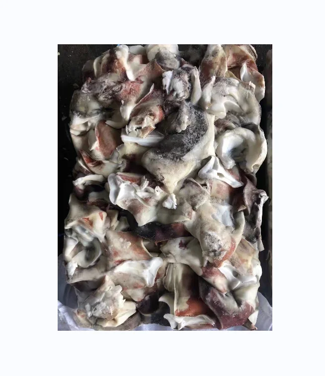 Hot sale good price giant squid neck for export