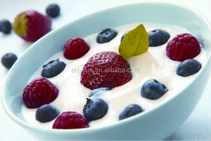 Portable greek yogurt maker Stainless Steel Yogurt Maker Household Yogurt Making Machine