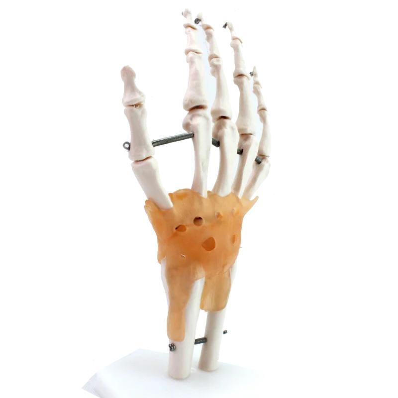 Hot Sale Products Neck Traction High Quality Cervical Collar Neck Brace Support Collar For Neck Fixation