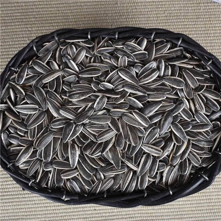 Семена подсолнечника Ouji Pure 361 Украина, выращивание подсолнечника, Урожай подсолнечника 2019 из Китая; Нея 0.3%, макс. dutching 8%, макс. в течение 15 дней, черного цвета