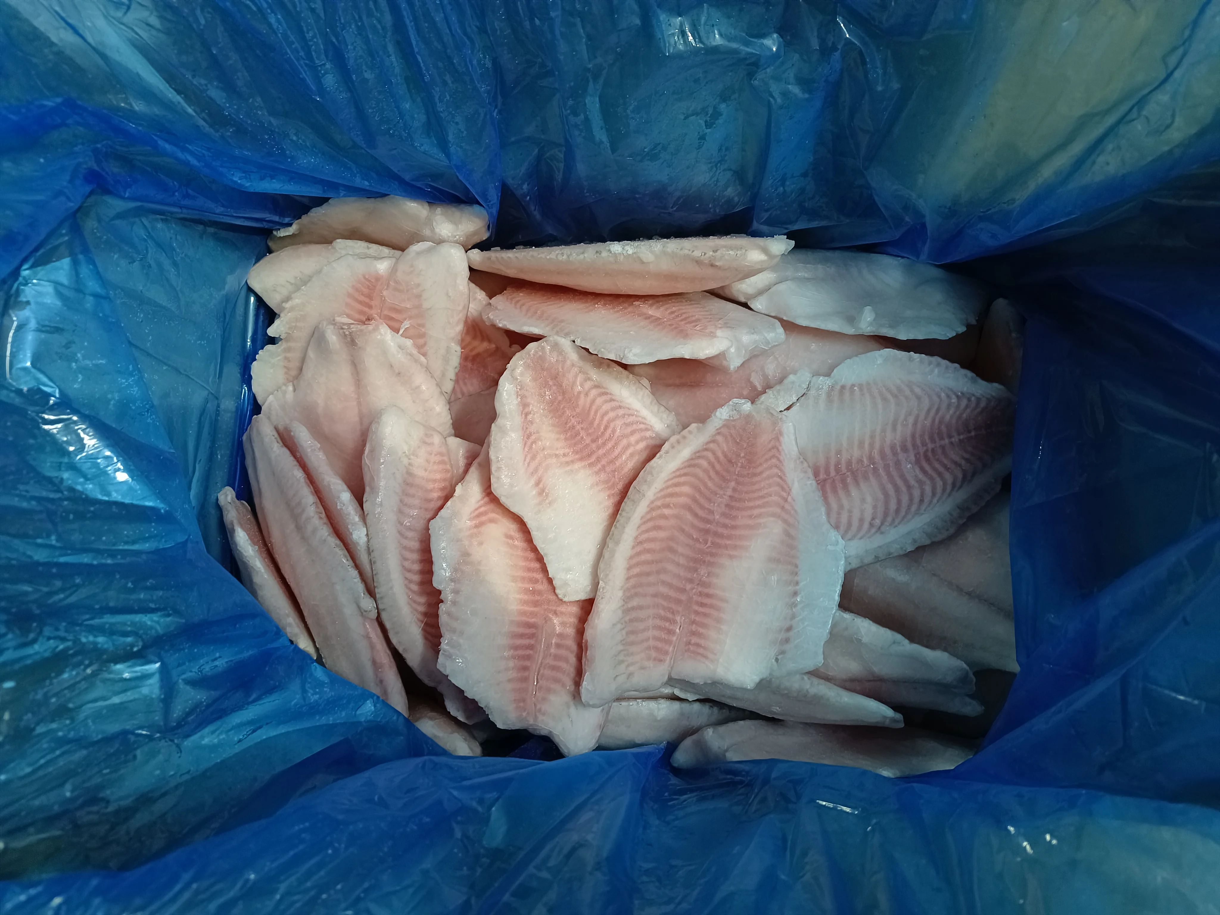 IVP carton packing Frozen Tilapia Fish Fillet IQF tilapia fish fillet