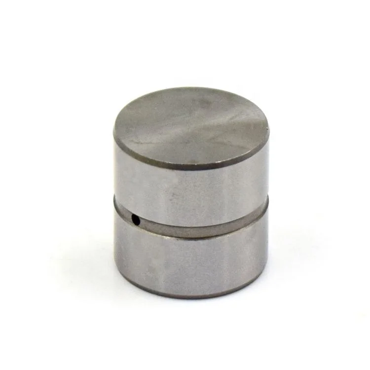 Tp67 Supply Engine Part  Valve Tappet for Santa Fe 2008 Valve Lifter 85004900