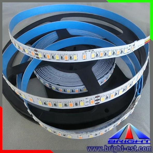 SMD5630 bicolor led strip,W+WW 24V Dual White CCT Tunable dimmable led light strip