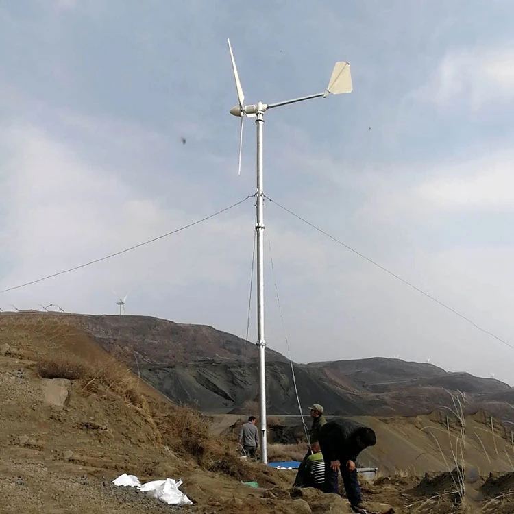 Factory Wholesale 100W 200W 300W  Wind Turbine Generator Household Small Horizontal Axis wind turbine System