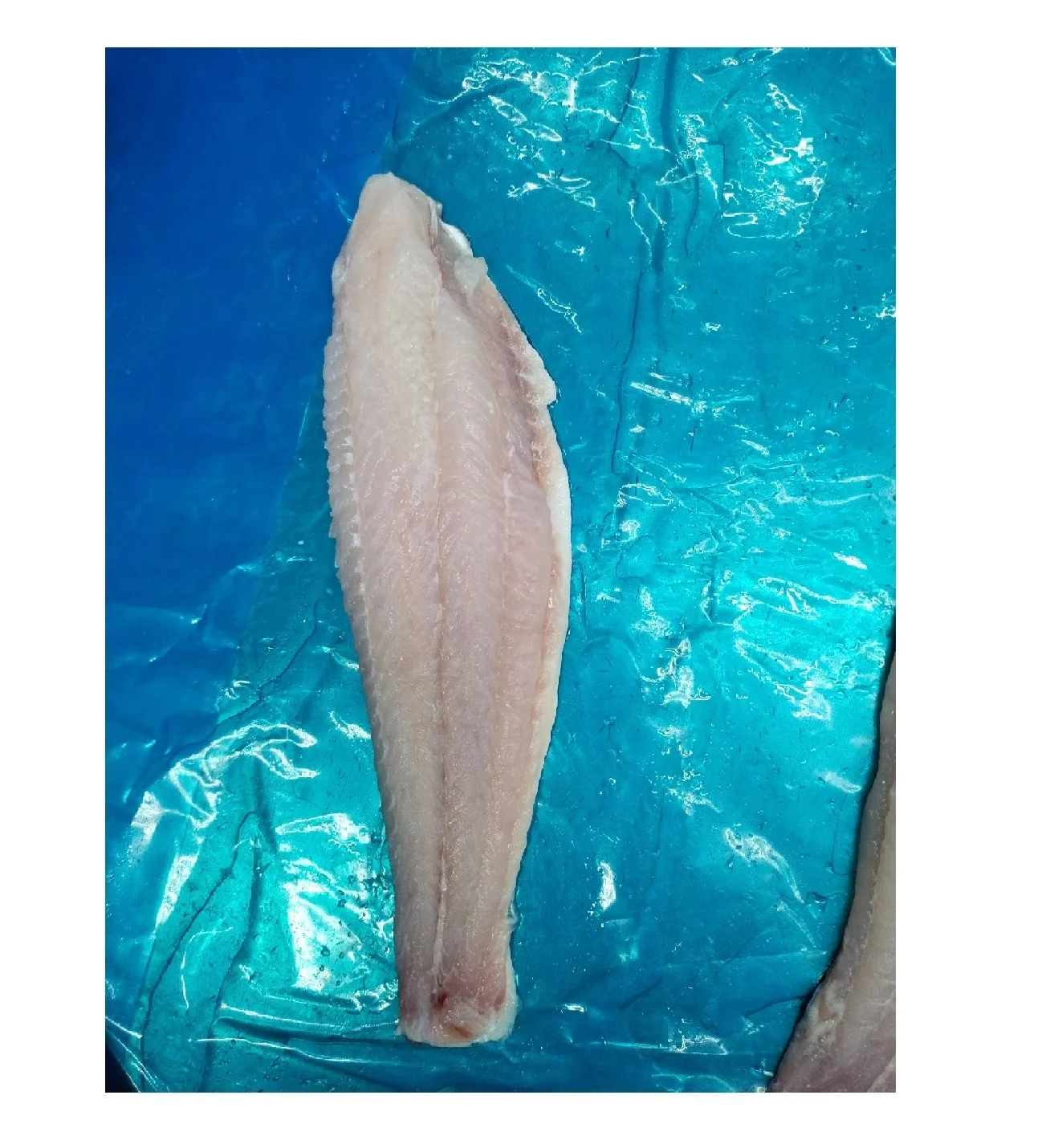 Wholesale Frozen Basa fish fillet skin on Made in VietNam