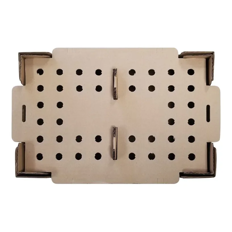 Transport poultry cardboard boxes chicken chick carton cardboard boxes for transport of chicks paper chick transport box