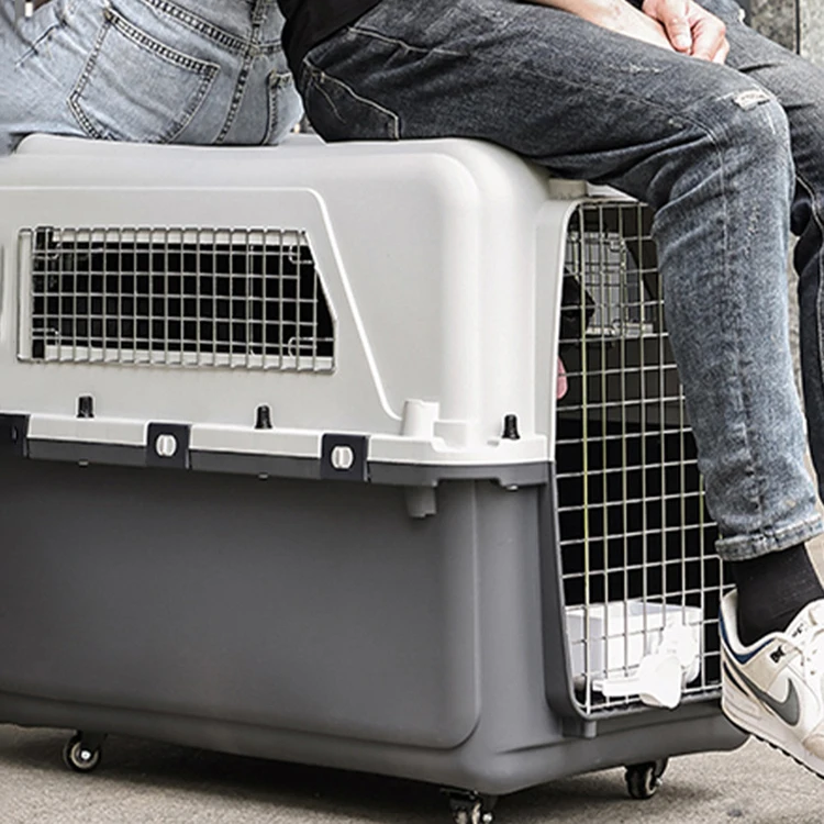 Accept Durable Customization Wholesale High Quality Airline Approved Cat Cages Wire Door Plastic Pet Travel Carrier Cage
