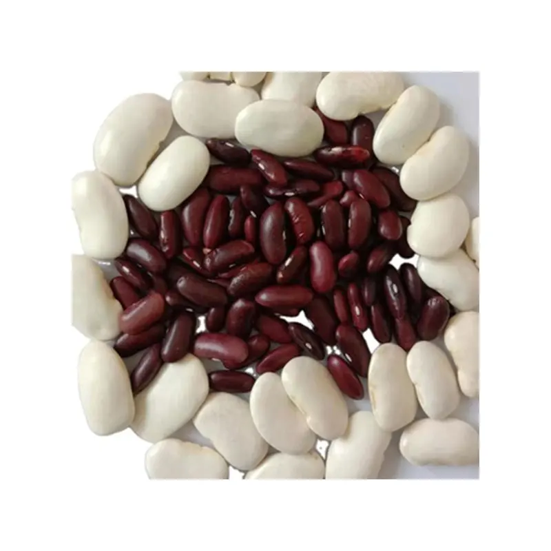 
factory whole sale best selling large Yunnan 2020 crop dried white kidney beans 