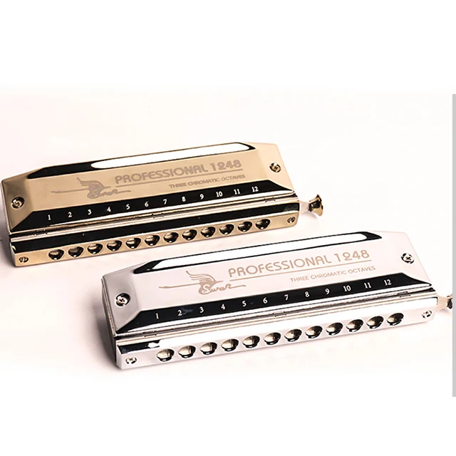 SW1248-5 12 отверстий 48 тонов толстый выдув рот тренировка воспроизведение Хроматическая гармоника серебристый