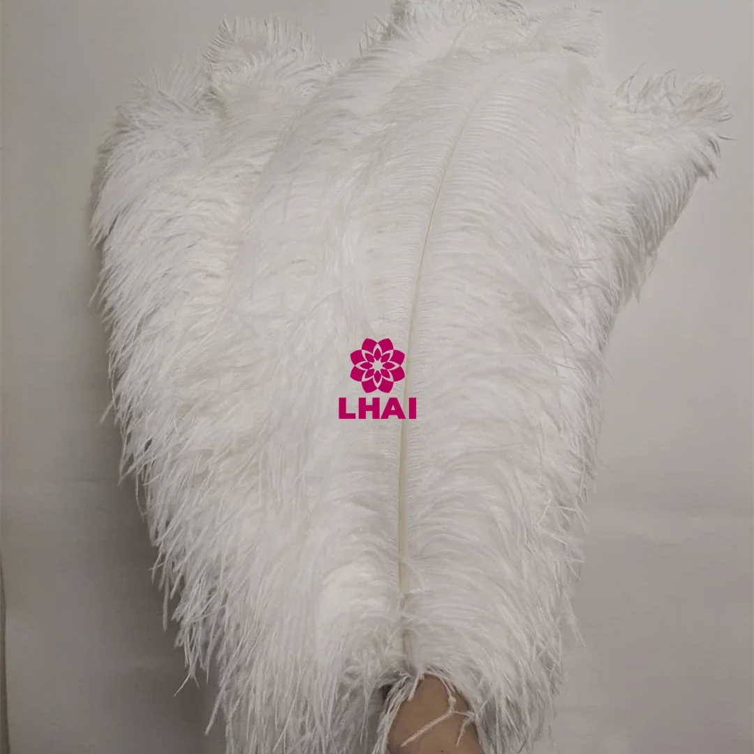Cheap Bulk  55-60cm White Ostrich Feathers Large Red Ostrich Feathers for Centerpiece Decorations
