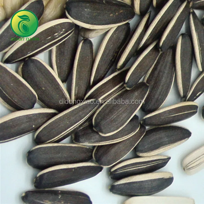 Китайские оптом Обжиговых Машин семечки