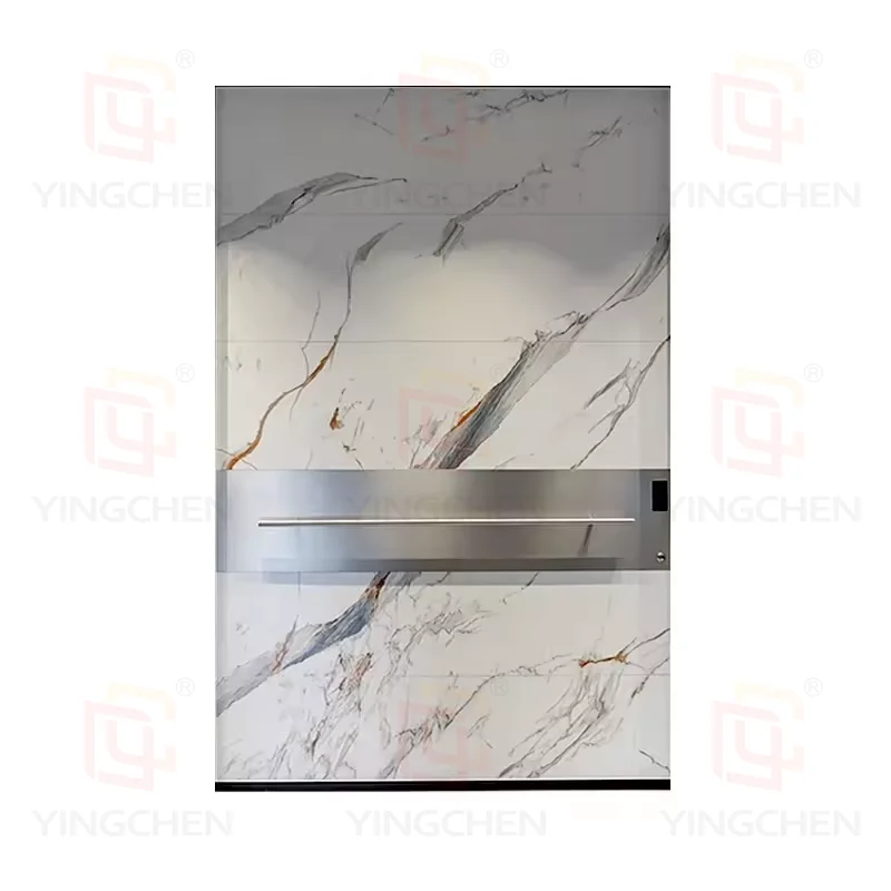 Fire Rated Thermal Break Cast Aluminium Door Home Exterior Front Modern Security External Pivot Doors For House